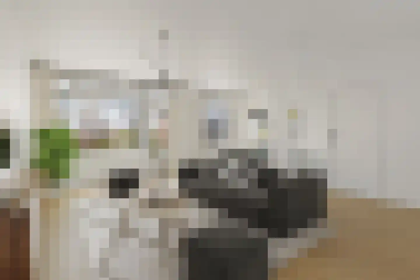 Reiderland 2 Zoetermeer thumbnail 9