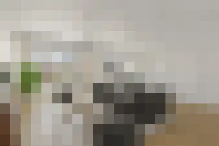 Reiderland 2 Zoetermeer thumbnail 9