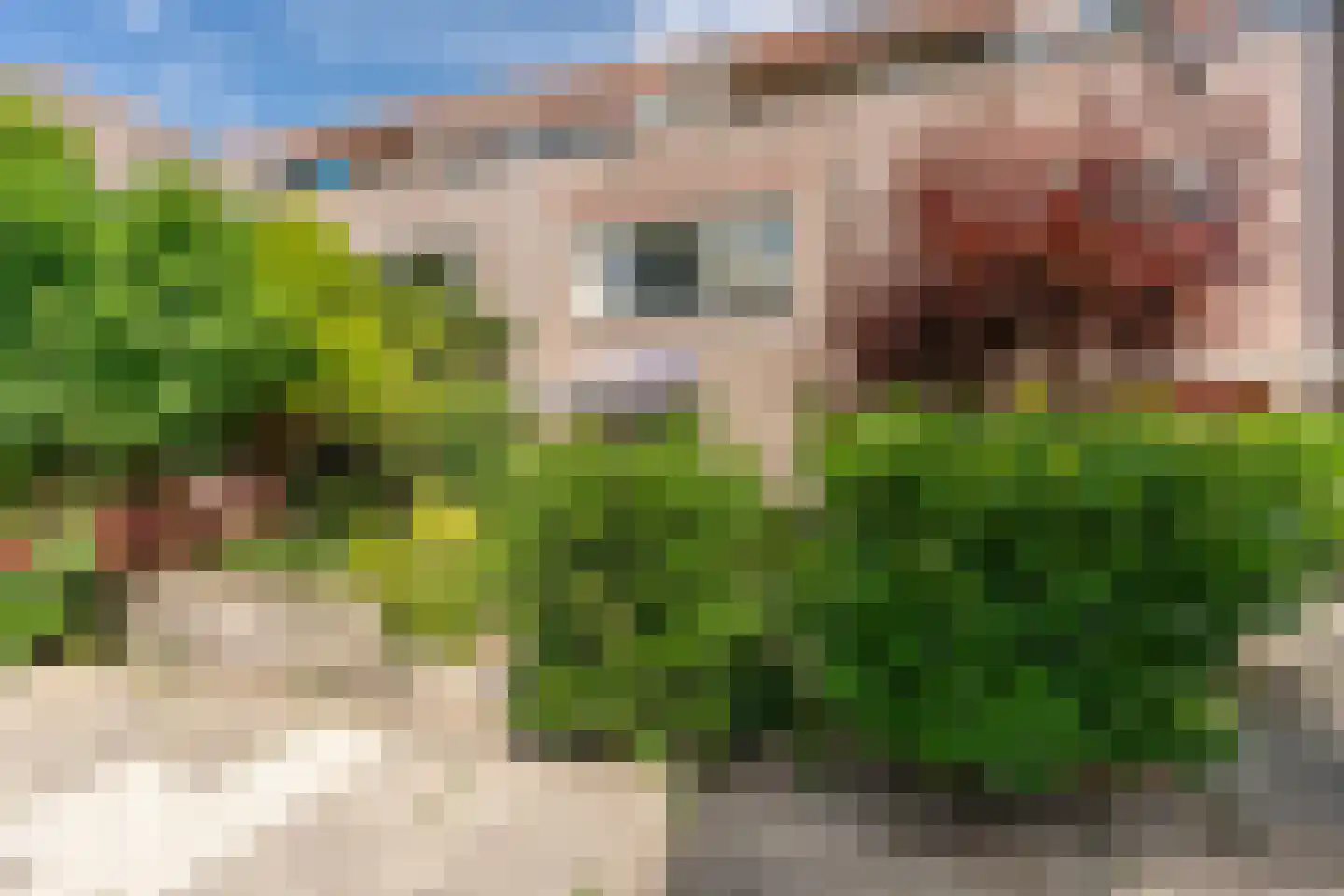 Reiderland 32 Utrecht thumbnail 33