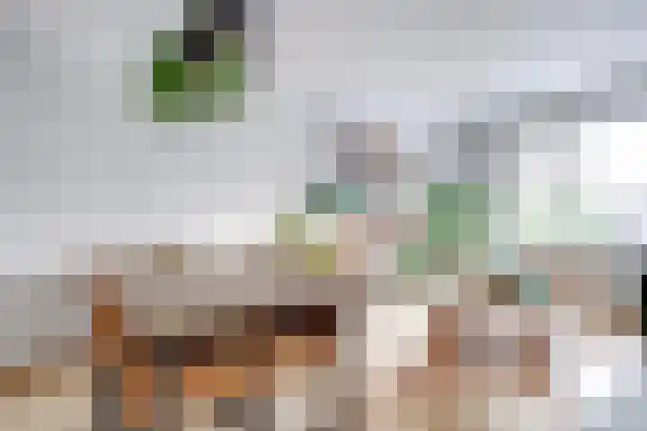 Reiderland 34 Utrecht thumbnail 11