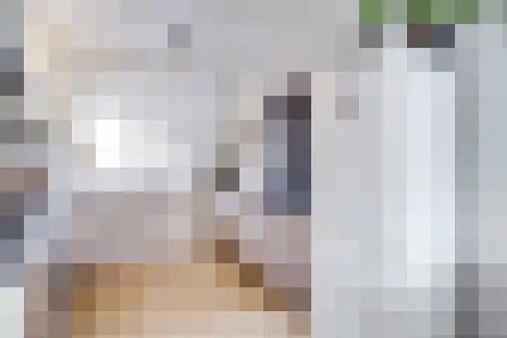 Reiderland 34 Utrecht thumbnail 17