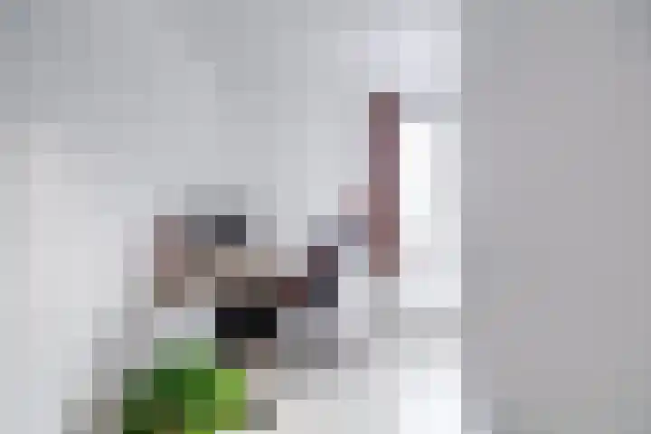 Reiderland 34 Utrecht thumbnail 29