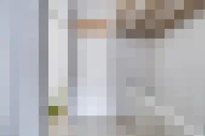 Reiderland 34 Utrecht thumbnail 33