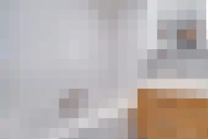 Reiderland 34 Utrecht thumbnail 35