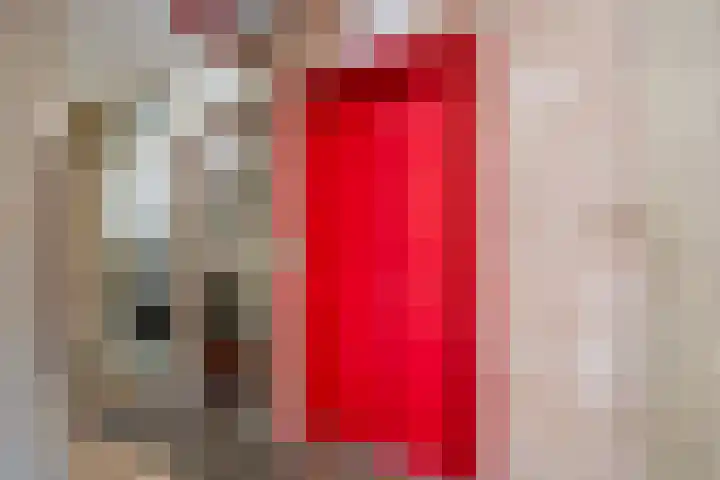 Reiderland 34 Utrecht thumbnail 38