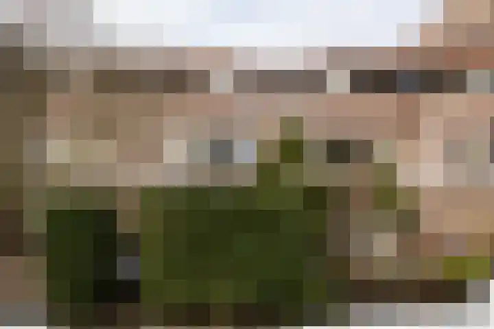 Reiderland 34 Utrecht thumbnail 4