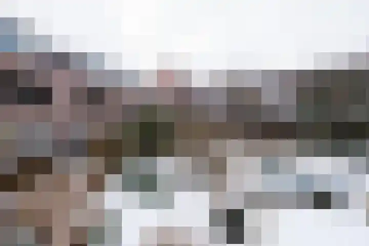 Reiderland 34 Utrecht thumbnail 41