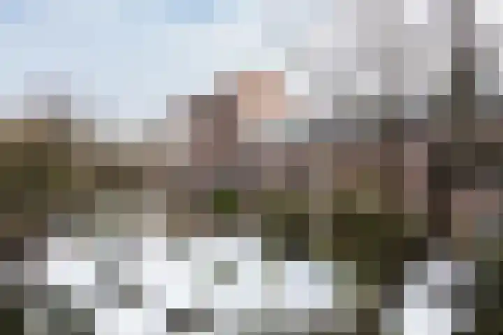 Reiderland 34 Utrecht thumbnail 43