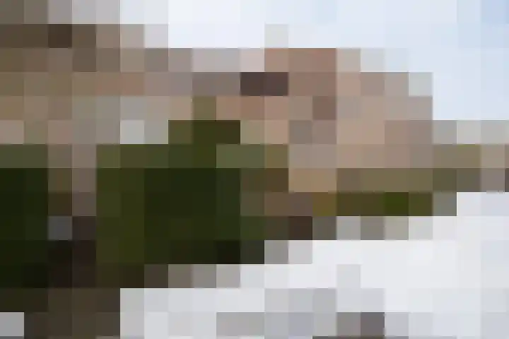 Reiderland 34 Utrecht thumbnail 45