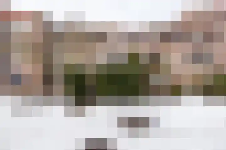 Reiderland 34 Utrecht thumbnail 46