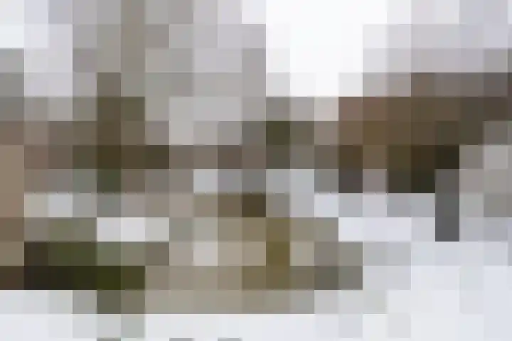 Reiderland 34 Utrecht thumbnail 47