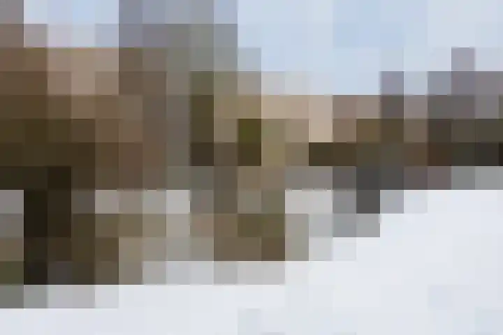 Reiderland 34 Utrecht thumbnail 49