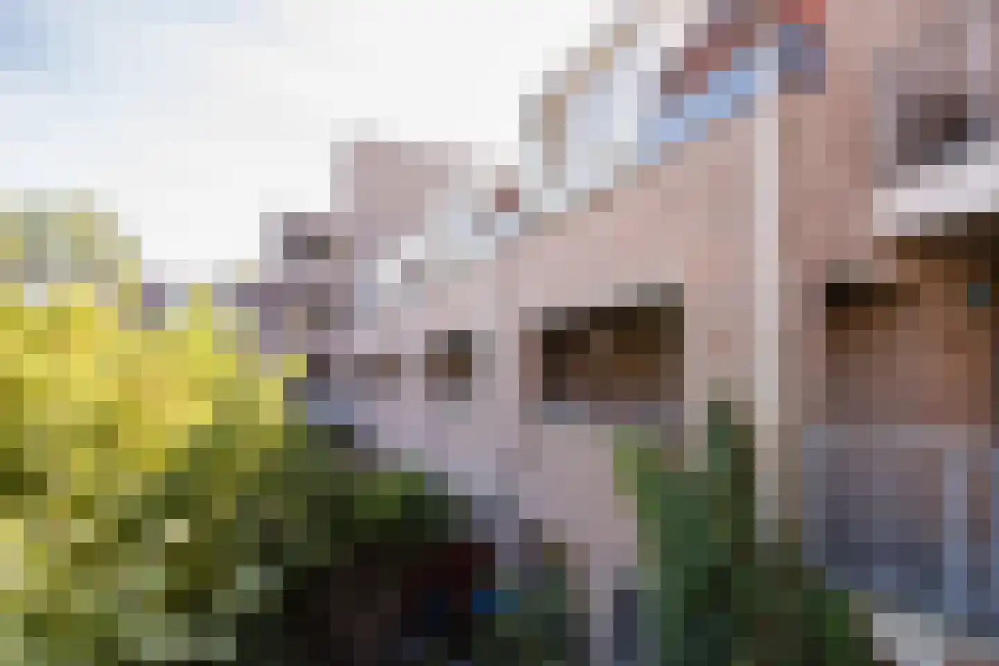 Reiderland 36 in Utrecht