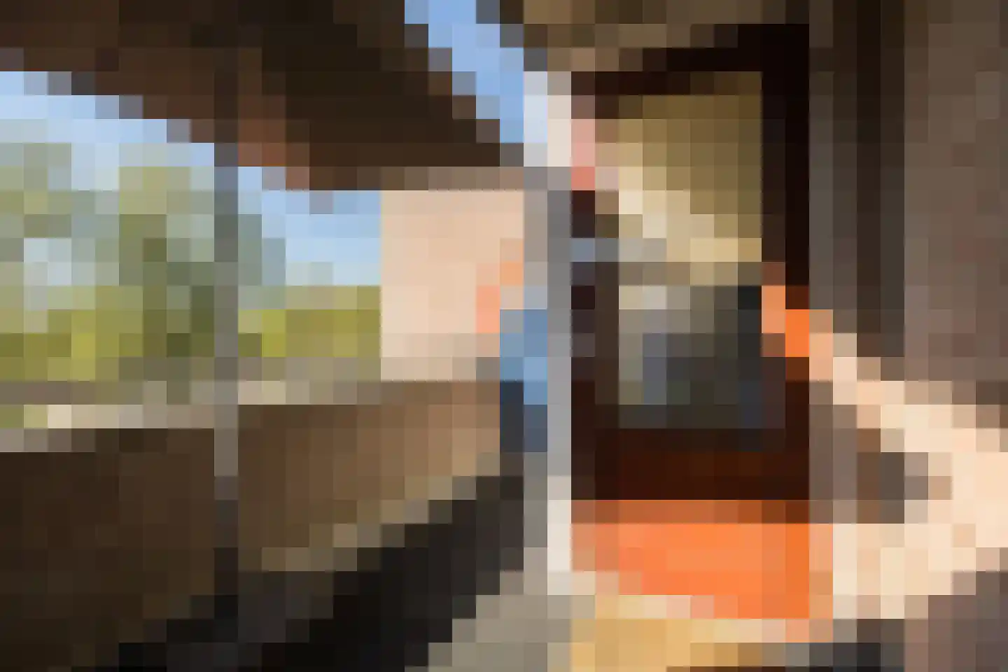 Reiderland 36 Utrecht thumbnail 33