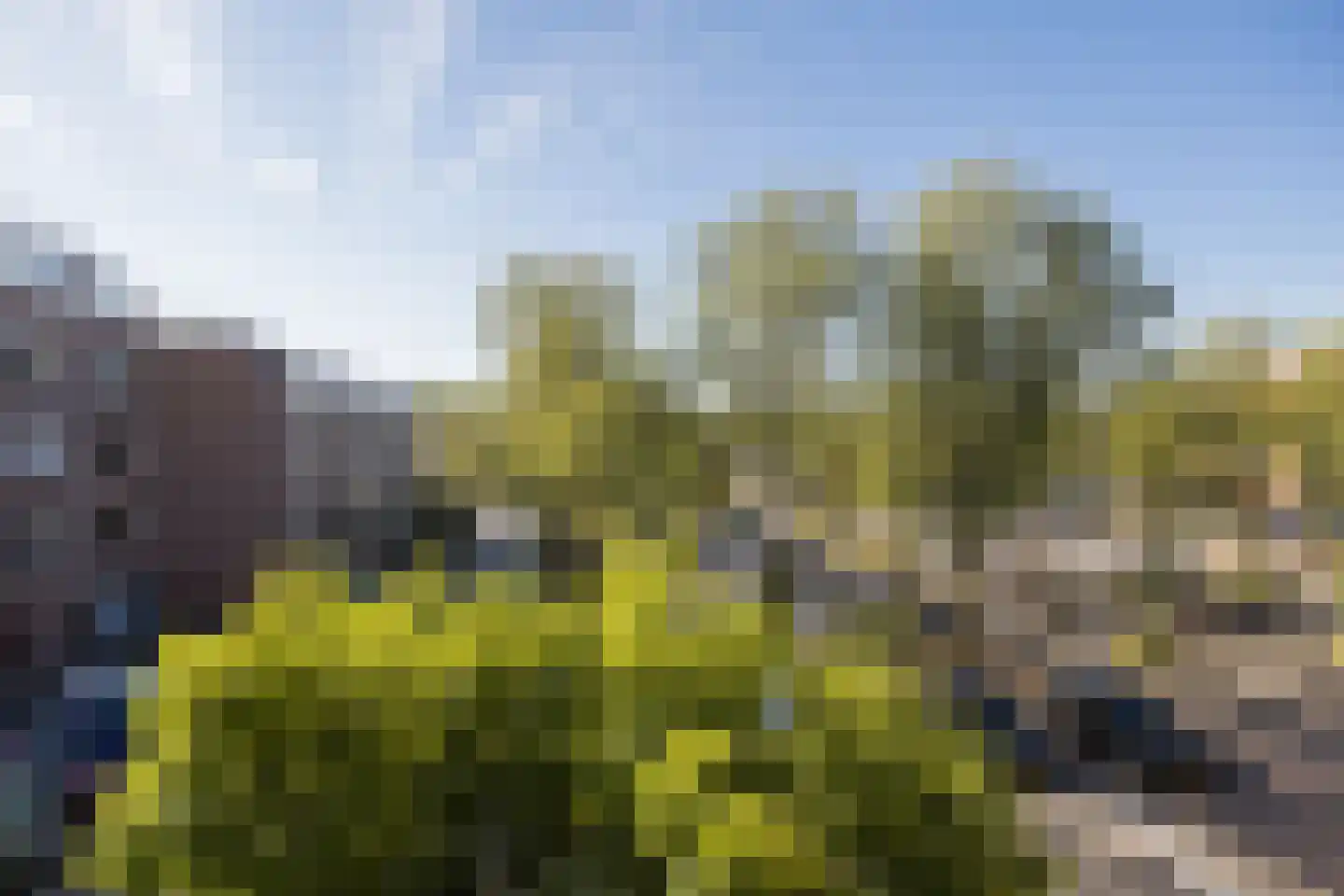Reiderland 36 Utrecht thumbnail 34