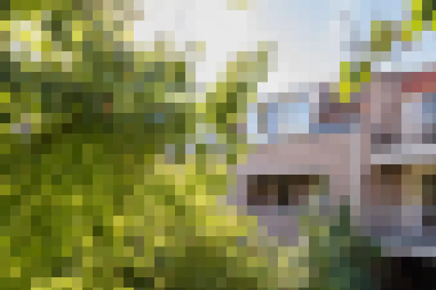 Reiderland 36 Utrecht thumbnail 37