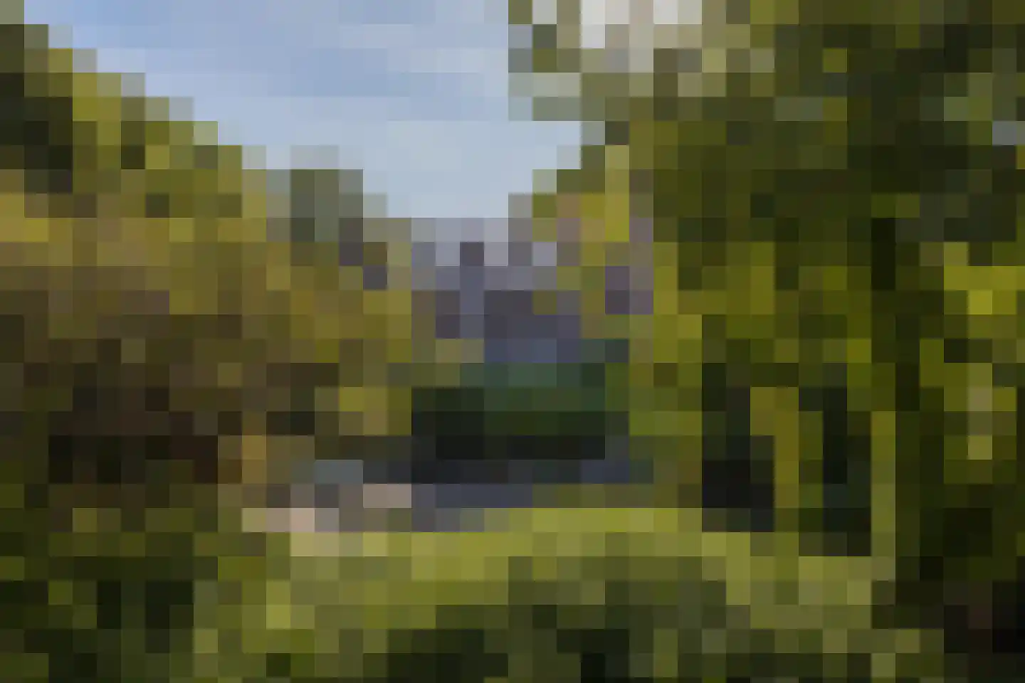 Reiderland 36 Utrecht thumbnail 38