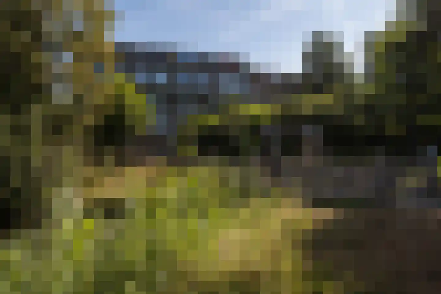 Reiderland 36 Utrecht thumbnail 49