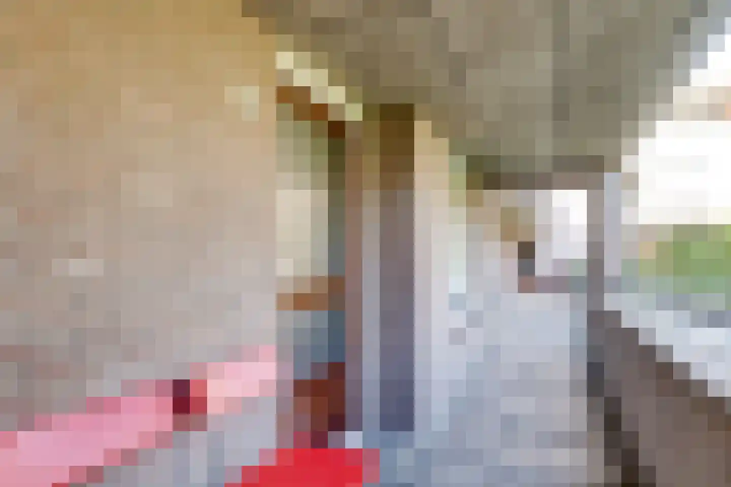 Reiderland 36 Utrecht thumbnail 6