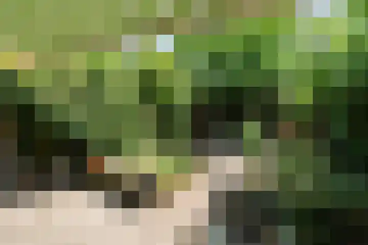 Reiderland 39 Zoetermeer thumbnail 29