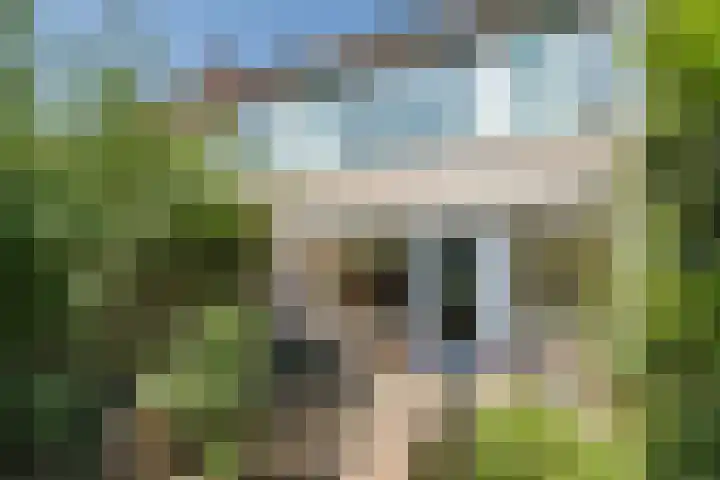 Reiderland 39 Zoetermeer thumbnail 30