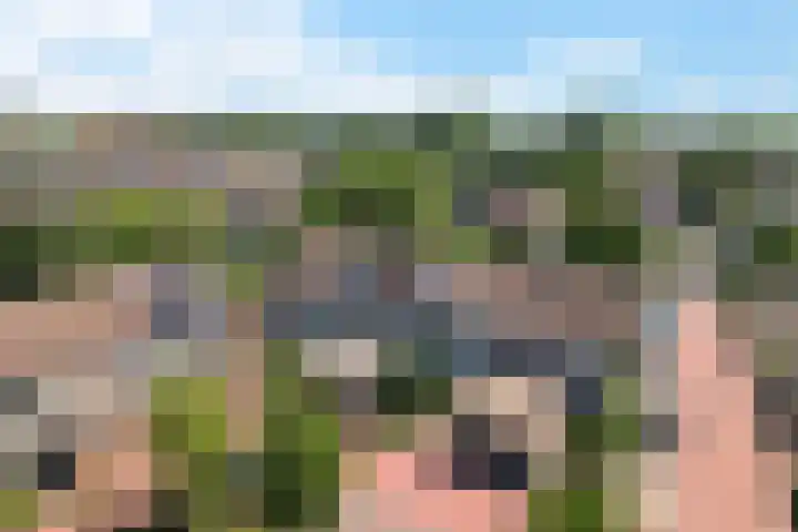 Reiderland 39 Zoetermeer thumbnail 55