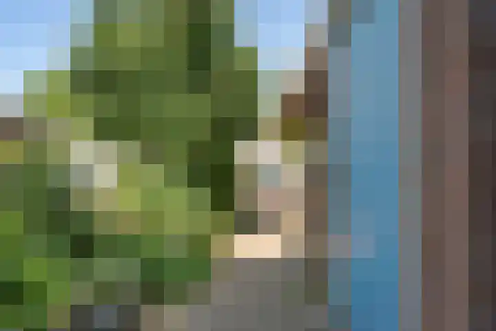 Reiderland 39 Zoetermeer thumbnail 9