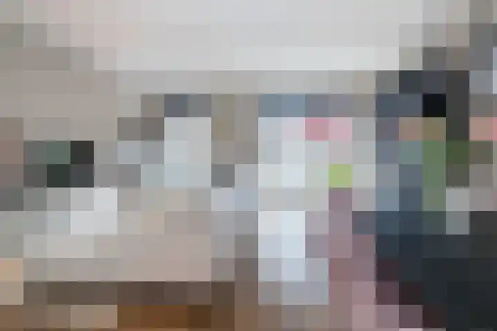 Reiderlandlaan 65 Den Haag thumbnail 14