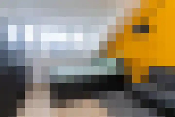 Reiderlandlaan 65 Den Haag thumbnail 32