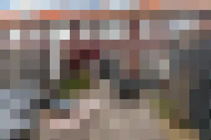 Reiderlandlaan 65 Den Haag thumbnail 4