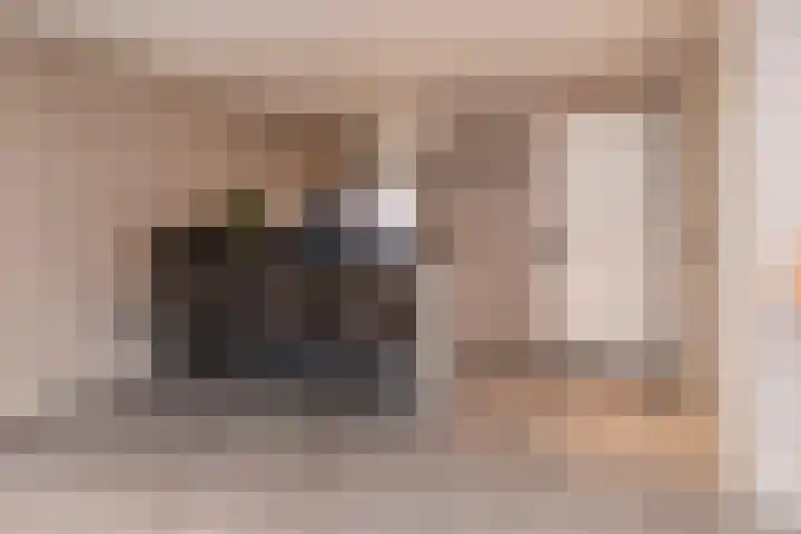 Reiderlandlaan 81 Den Haag thumbnail 15
