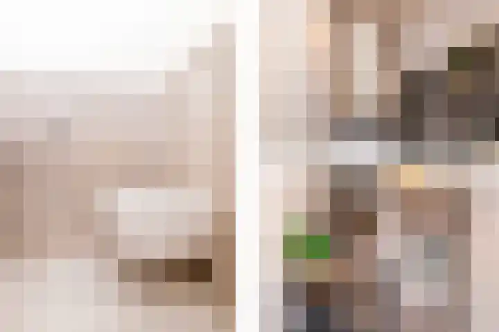 Reiderlandlaan 81 Den Haag thumbnail 34