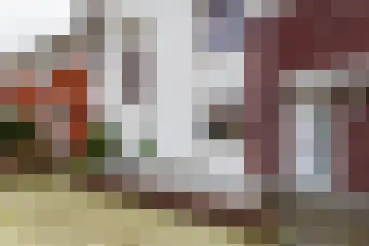 Reiderlandlaan 81 Den Haag thumbnail 39