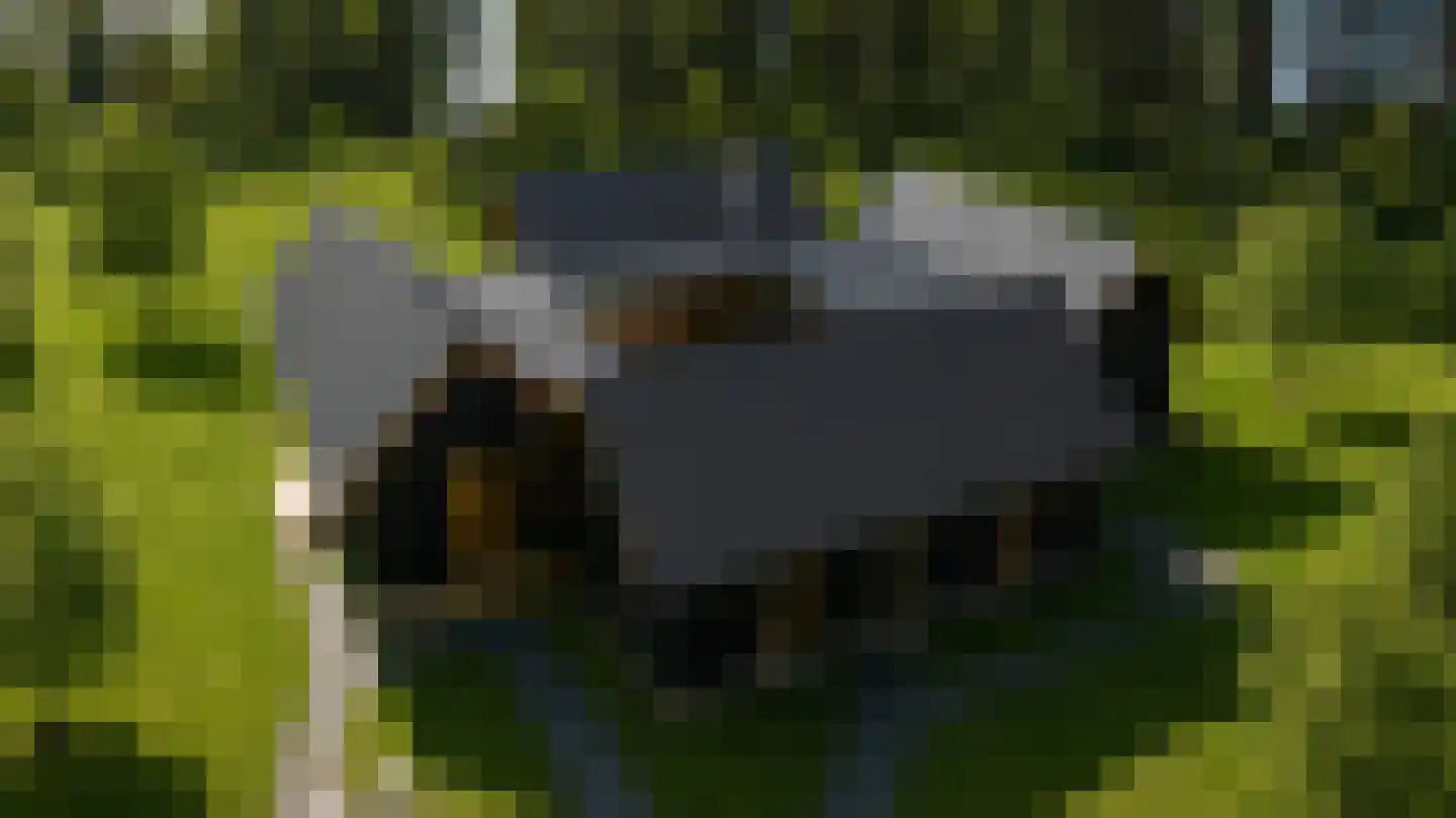 Reiderwolderpolder 27 Finsterwolde thumbnail 5
