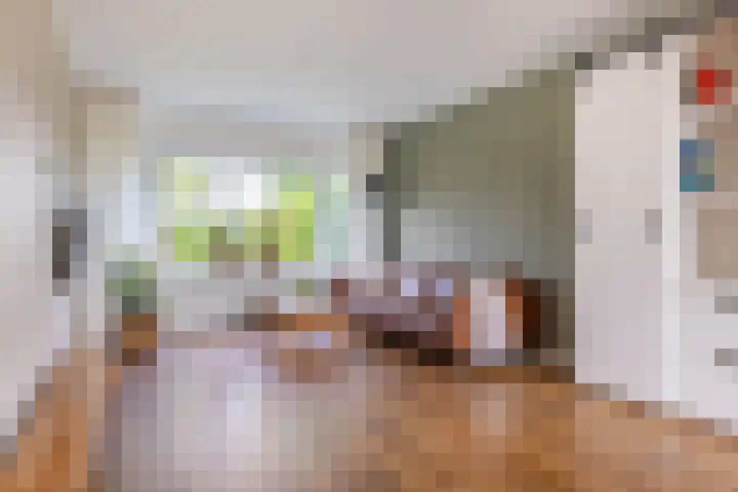 Reidfjild 47 Tytsjerk thumbnail 16