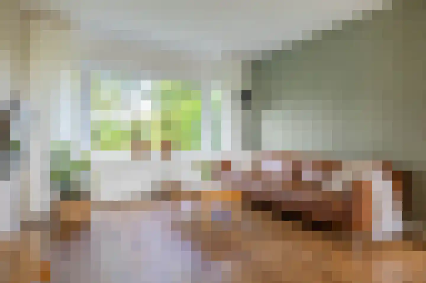 Reidfjild 47 Tytsjerk thumbnail 18