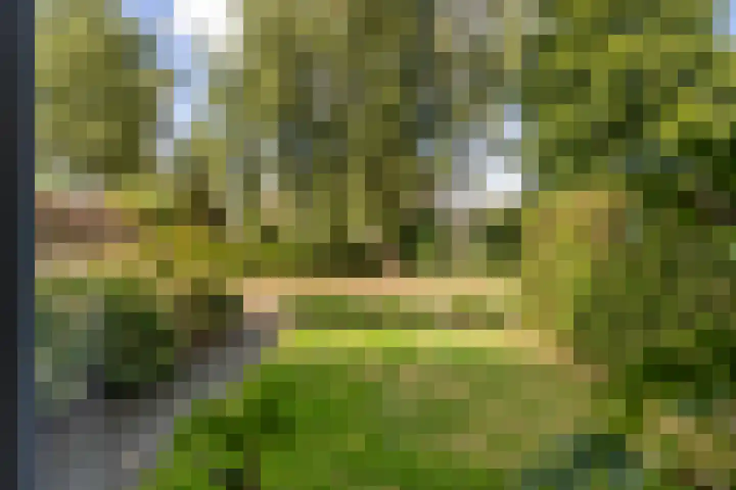 Reidfjild 47 Tytsjerk thumbnail 23