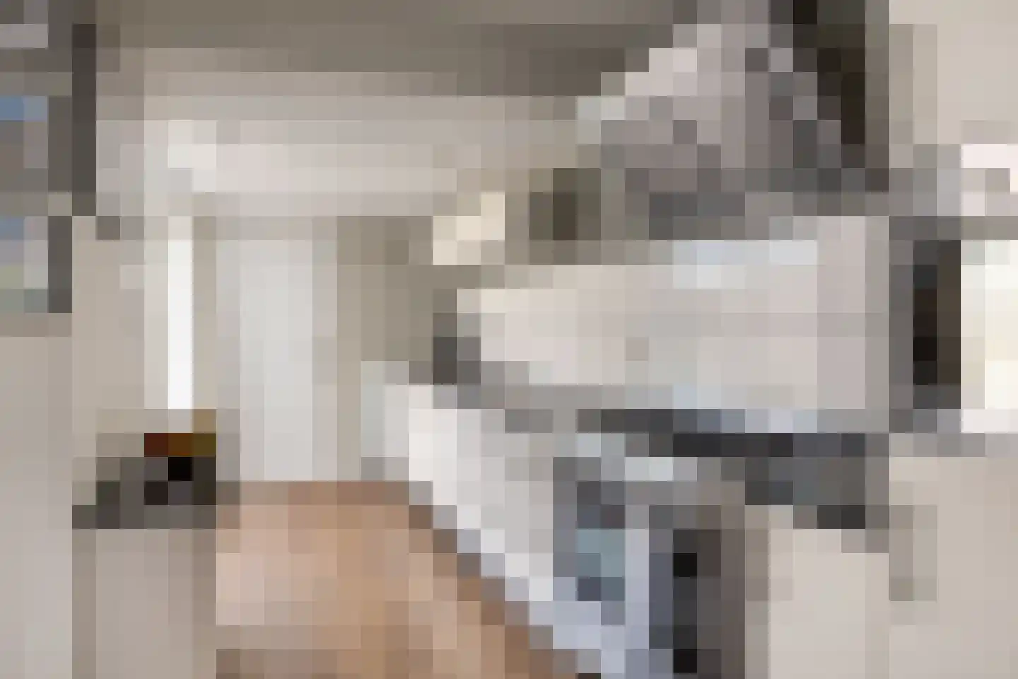 Reidfjild 47 Tytsjerk thumbnail 25