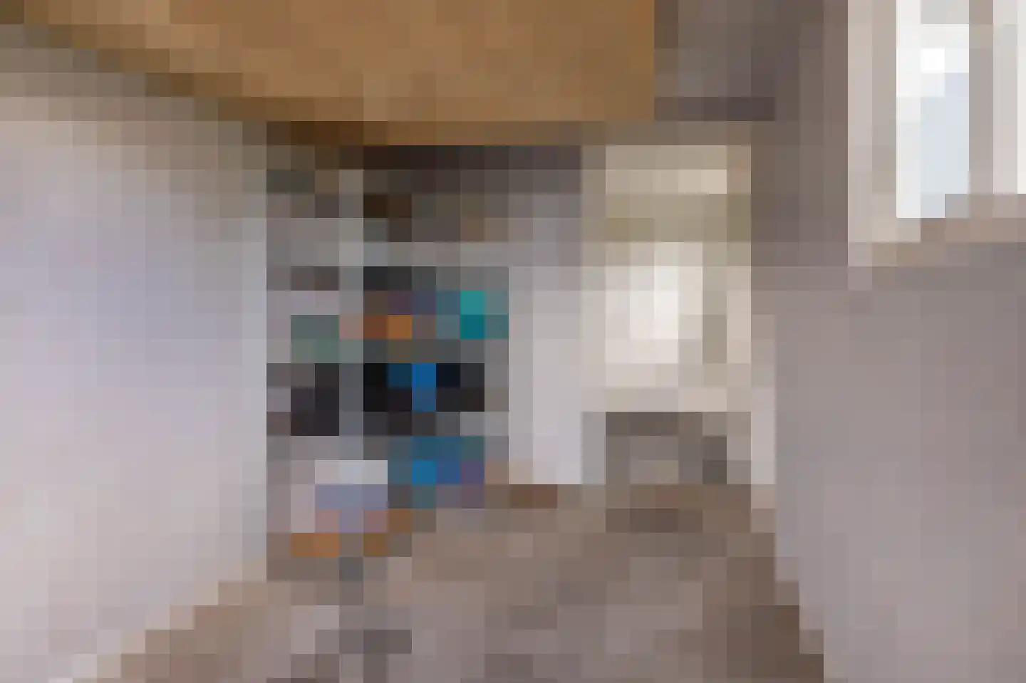 Reidfjild 47 Tytsjerk thumbnail 31