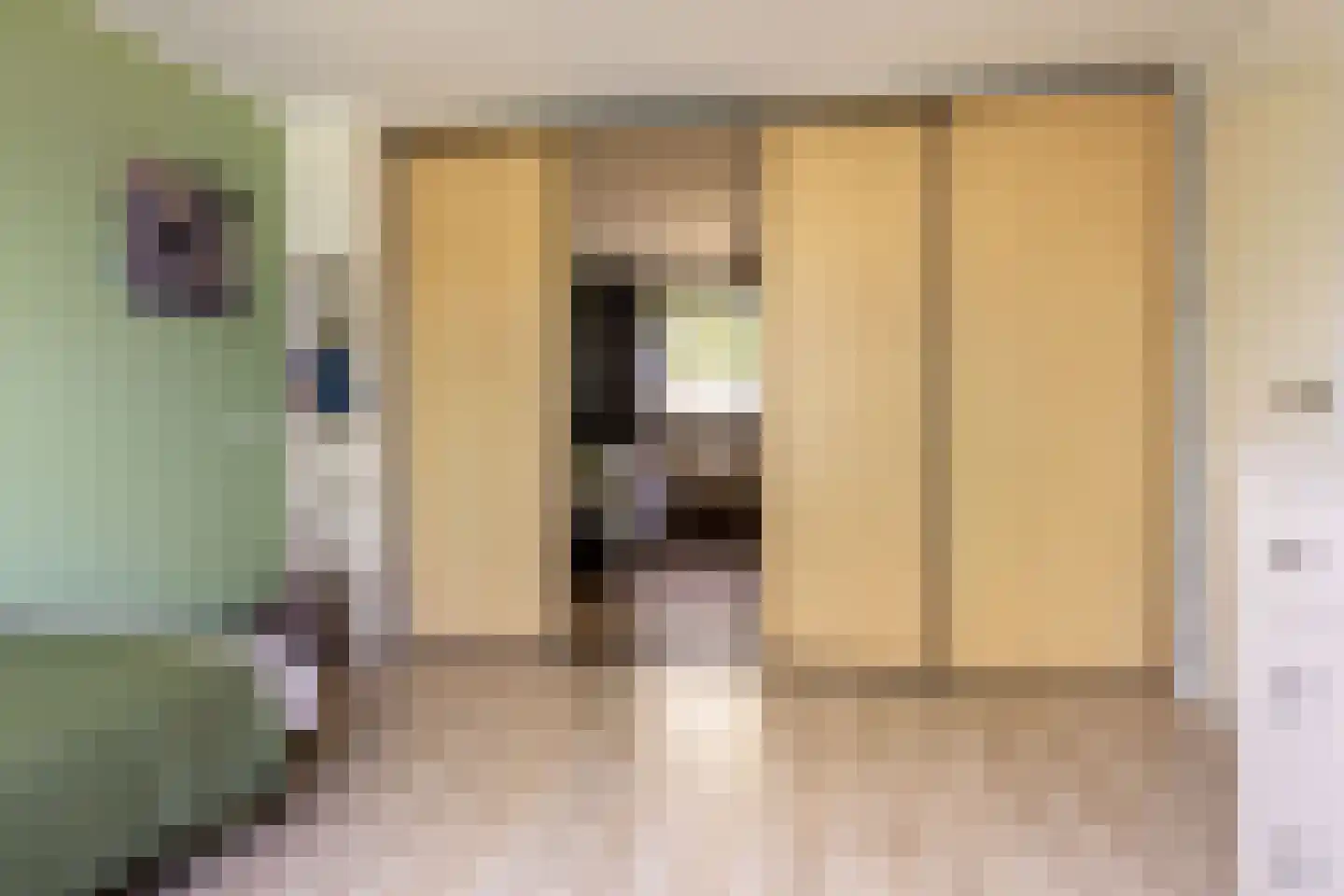 Reidfjild 47 Tytsjerk thumbnail 38