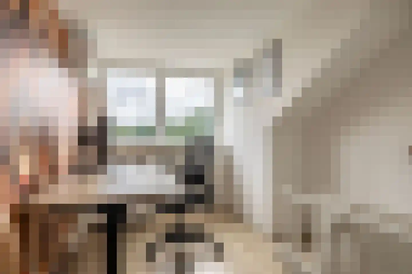 Reidfjild 47 Tytsjerk thumbnail 41