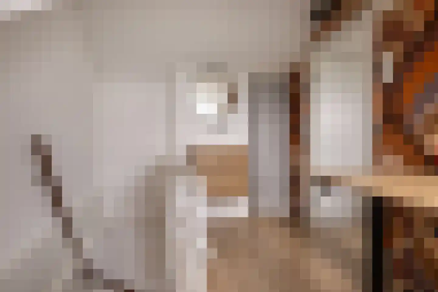 Reidfjild 47 Tytsjerk thumbnail 42