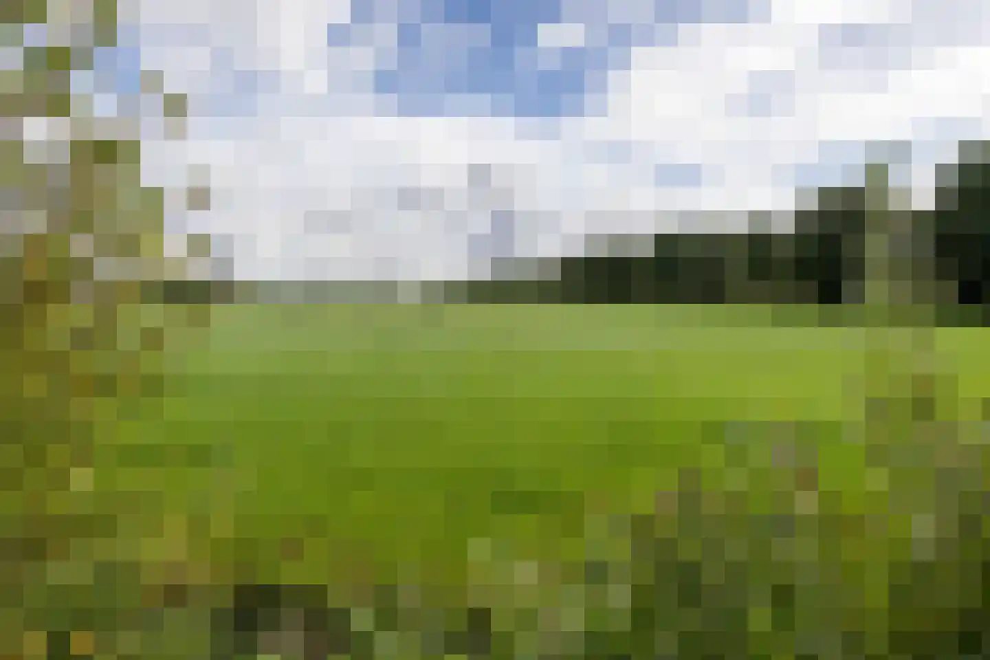 Reidfjild 47 Tytsjerk thumbnail 56