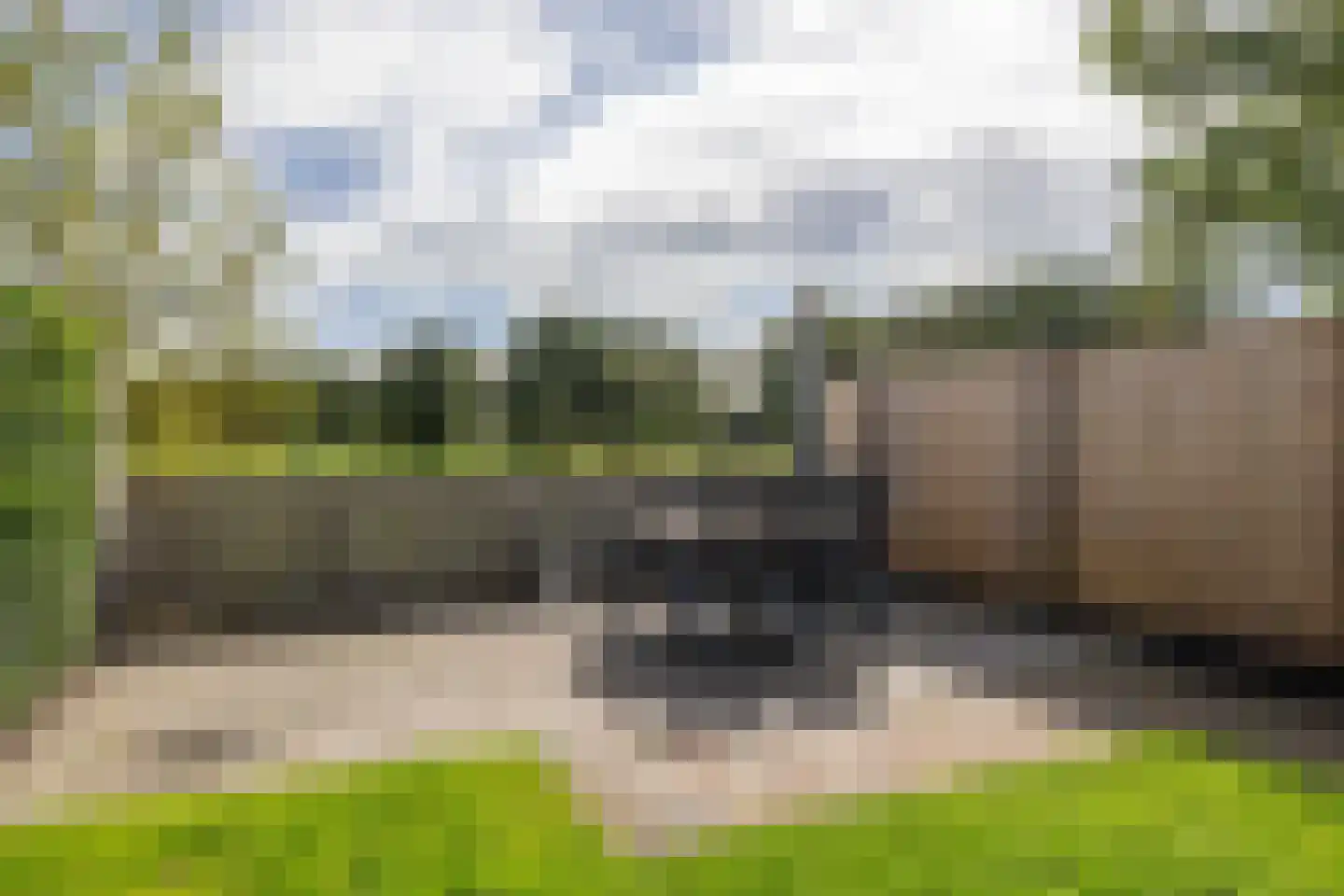 Reidfjild 47 Tytsjerk thumbnail 60