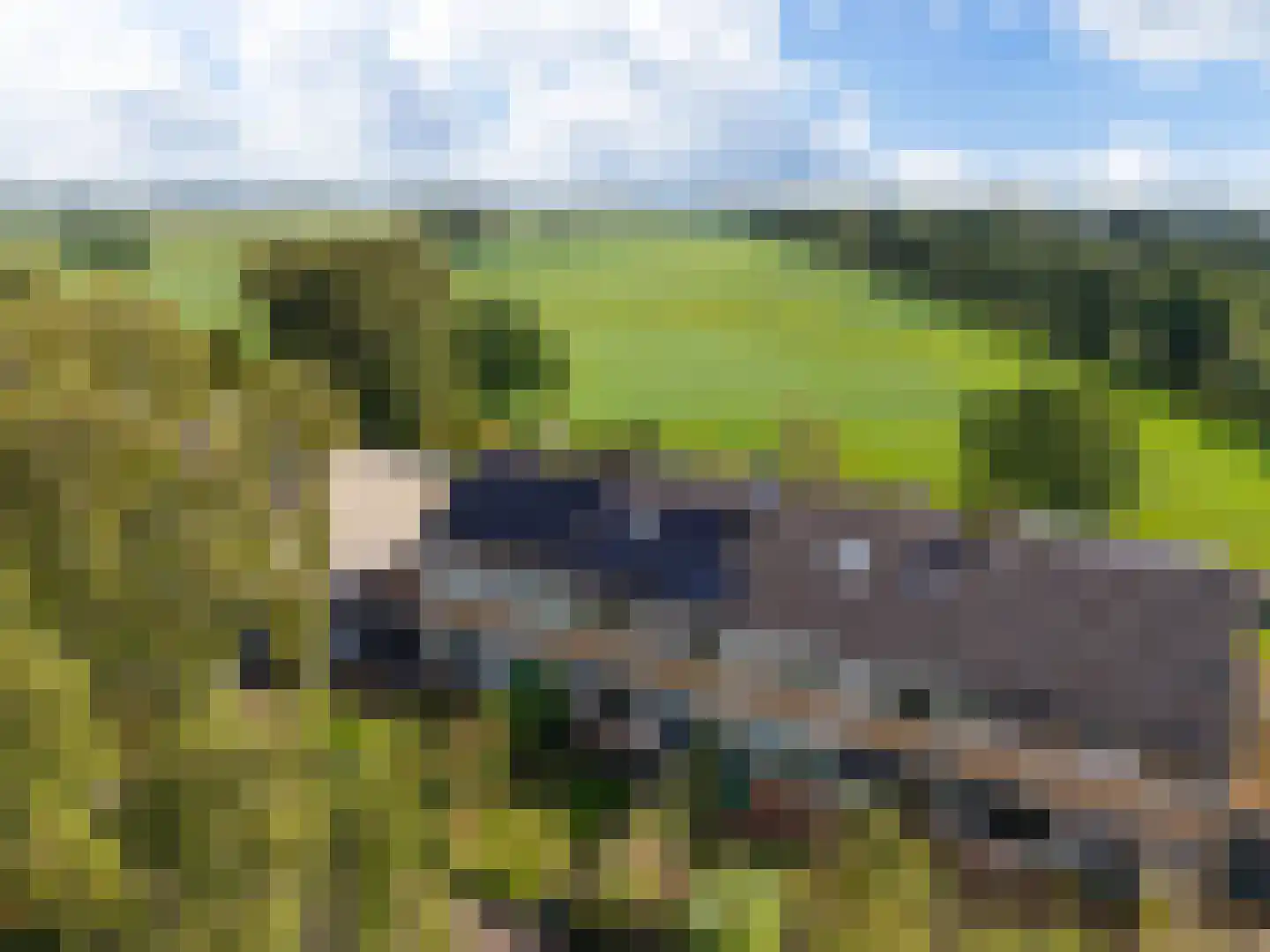 Reidfjild 47 Tytsjerk thumbnail 66