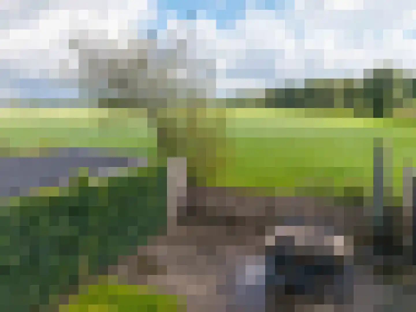 Reidfjild 47 Tytsjerk thumbnail 67