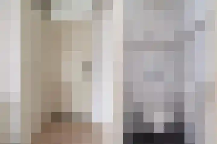 Reidfoarn 14 Hurdegaryp thumbnail 10
