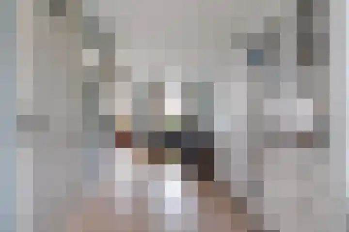 Reidfoarn 14 Hurdegaryp thumbnail 11