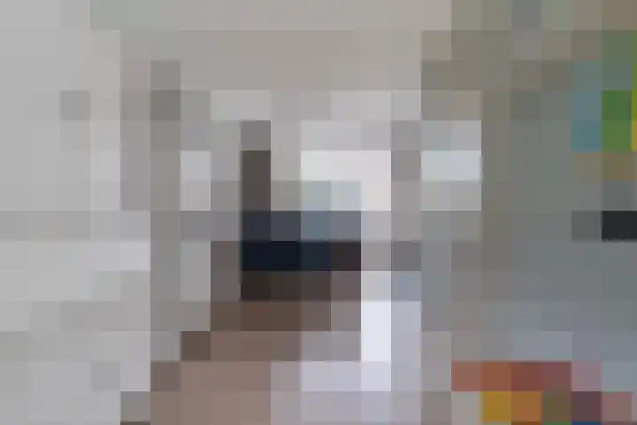 Reidfoarn 14 Hurdegaryp thumbnail 15