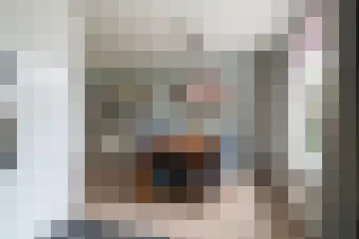 Reidfoarn 14 Hurdegaryp thumbnail 18